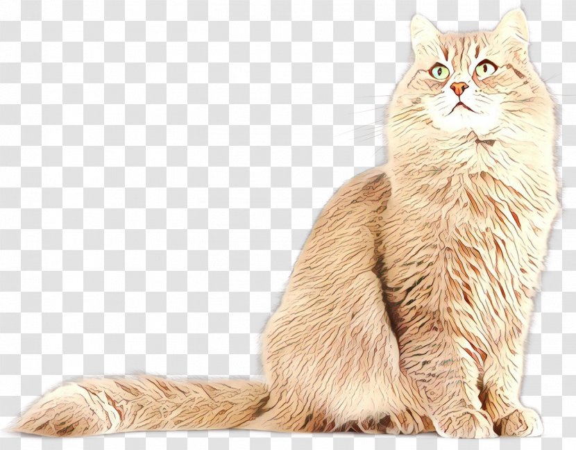 Persian Cat Asian Semi-longhair Nebelung European Shorthair Malayan - Cymric - American Bobtail Transparent PNG