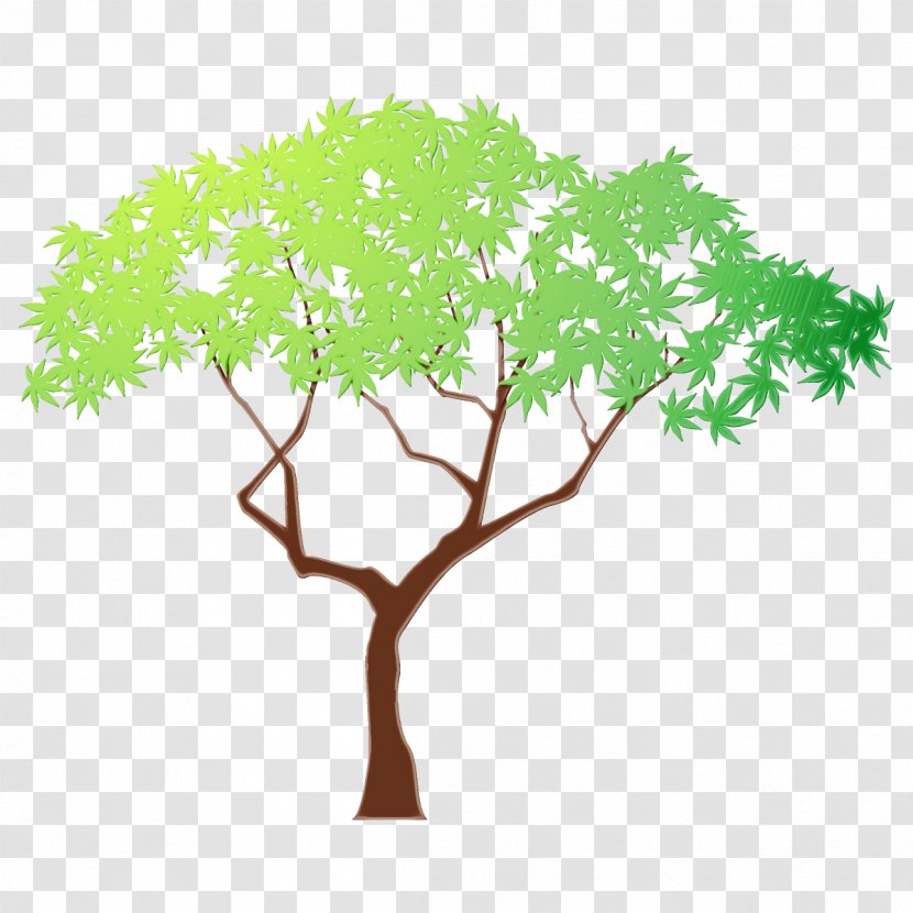 Arbor Day - Leaf - Plant Stem Transparent PNG