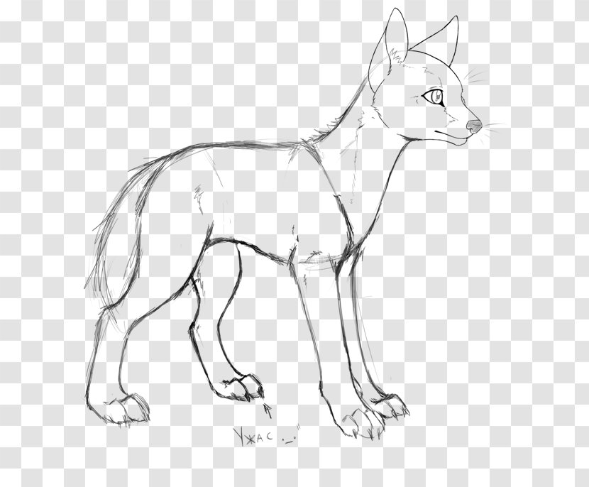 Red Fox Dog Breed Line Art Whiskers Transparent PNG