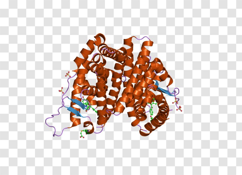Estrogen Receptor Alpha Nuclear DNA-binding Domain - Ligand Transparent PNG