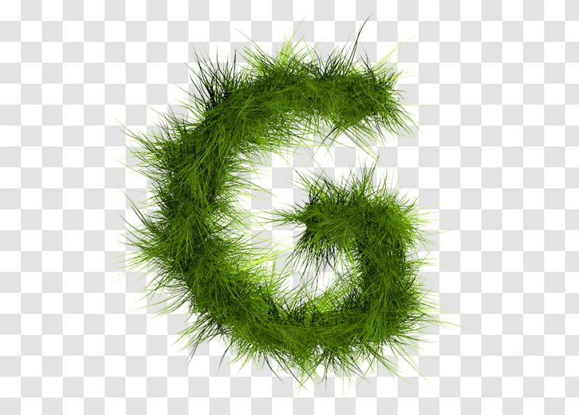 Letter Alphabet Green Font - Magazine - Real Grass Transparent PNG