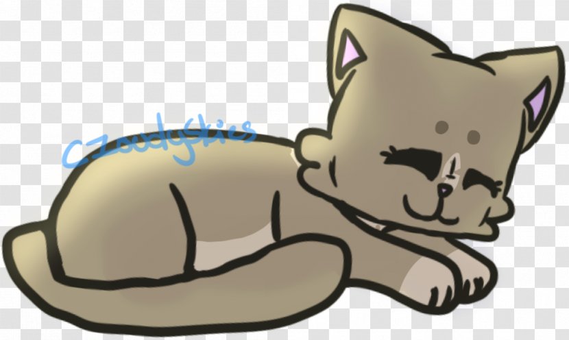 Kitten Whiskers Dog Bear Cat - Small To Medium Sized Cats Transparent PNG