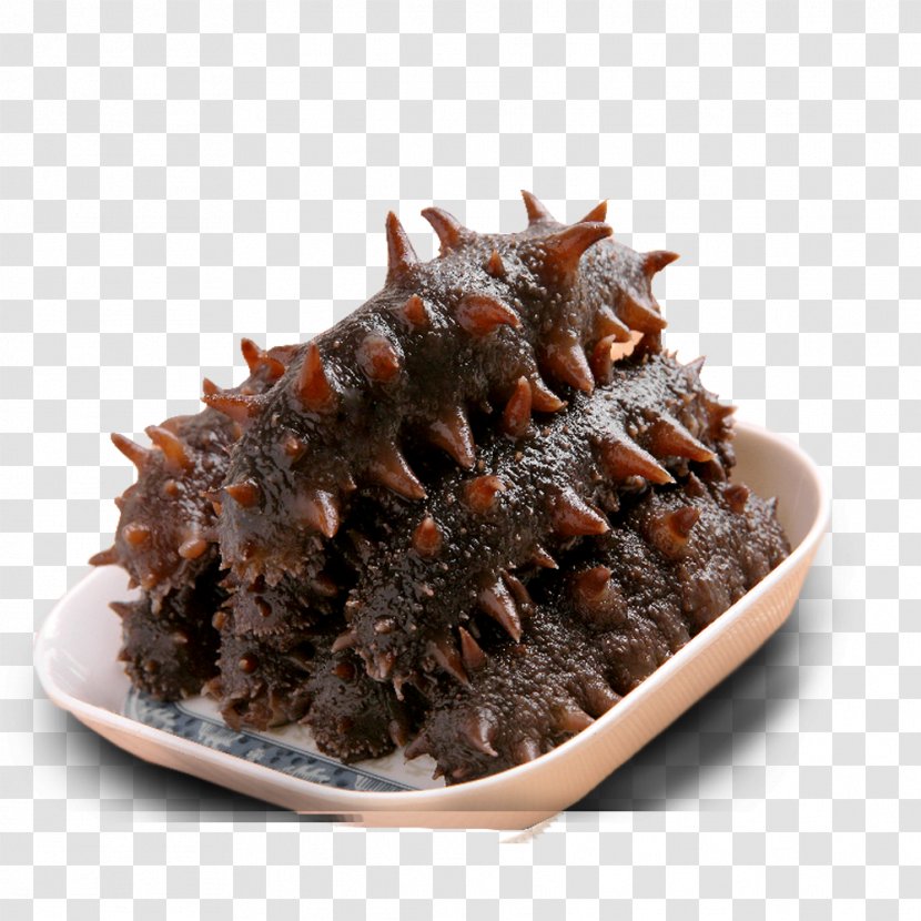 Shandong Sea Cucumber As Food Seafood - A Transparent PNG