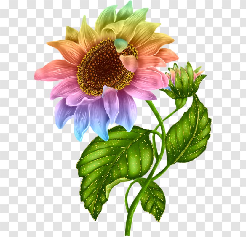 Common Sunflower Clip Art - Flower Transparent PNG