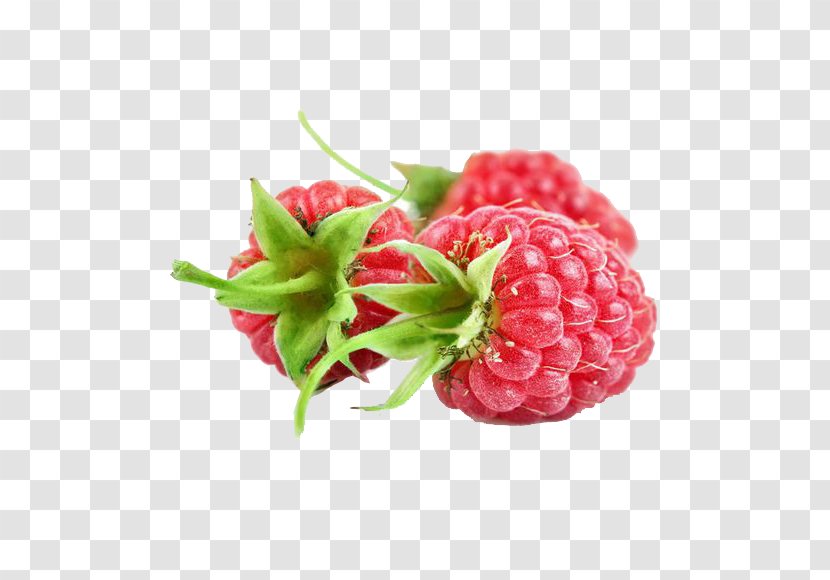 Red Raspberry Fruit Extract Jostaberry - Strawberry - Picture Material Transparent PNG