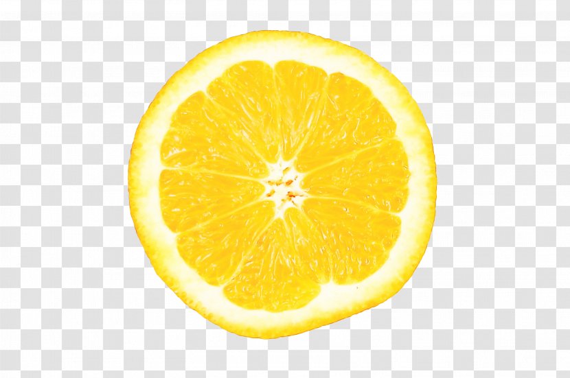 Lemon Citrus Yellow Citron Fruit - Watercolor - Plant Grapefruit Transparent PNG