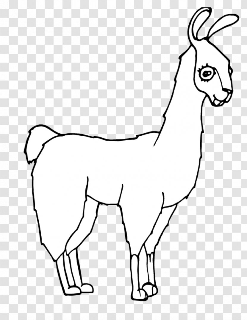Is Your Mama A Llama? Pack Animal Coloring Book - Horse Like Mammal - Llamas Transparent PNG