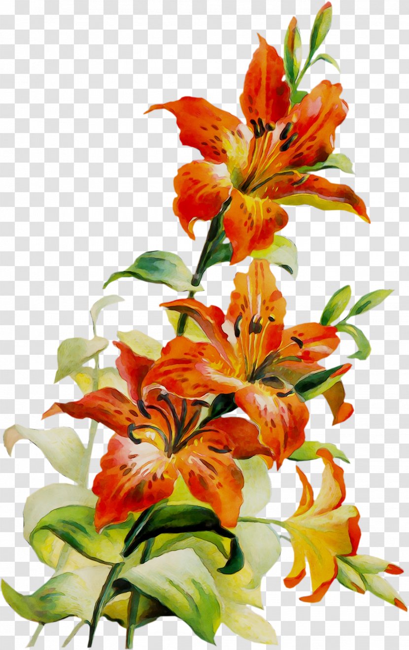 Clip Art Flower Image Borders And Frames - Alstroemeriaceae - Artificial Transparent PNG