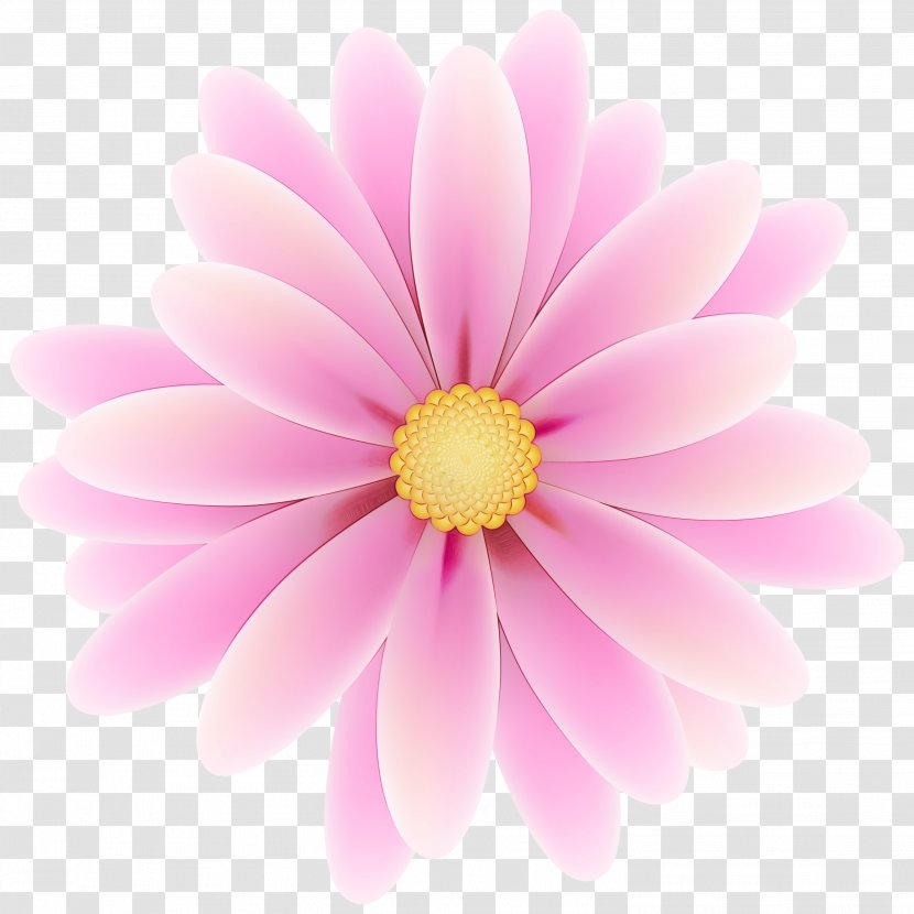 Illustration Chrysanthemum Marguerite Daisy Silhouette Margaret - Macro Photography - Aster Transparent PNG