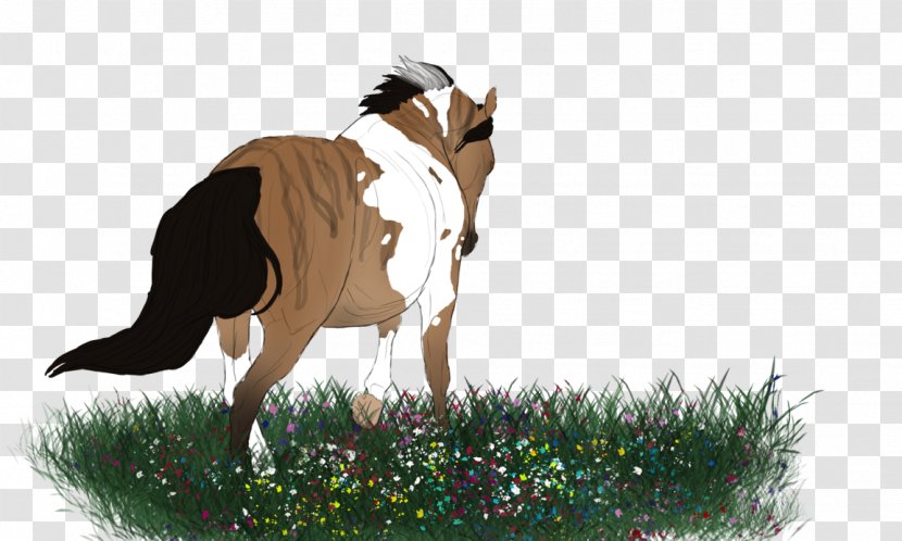 Cattle Mustang Goat Pasture Fauna - Tail Transparent PNG
