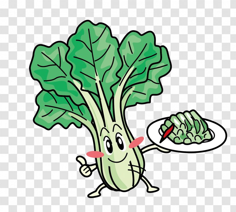 Leaf Vegetable Bok Choy Clip Art - Artwork - Vector Cabbage Leaves Transparent PNG