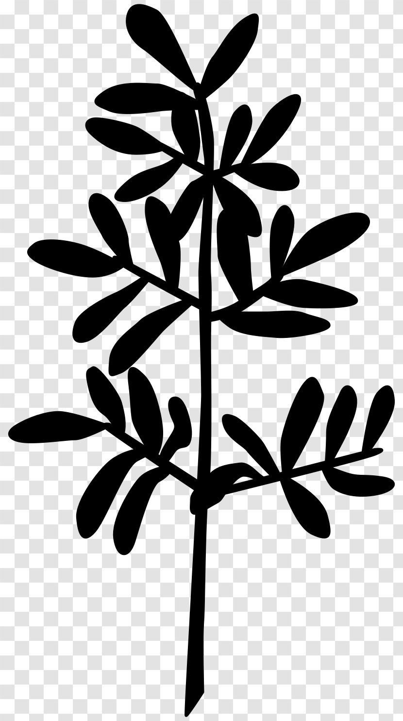 Twig Plant Stem Flower Leaf Font Transparent PNG