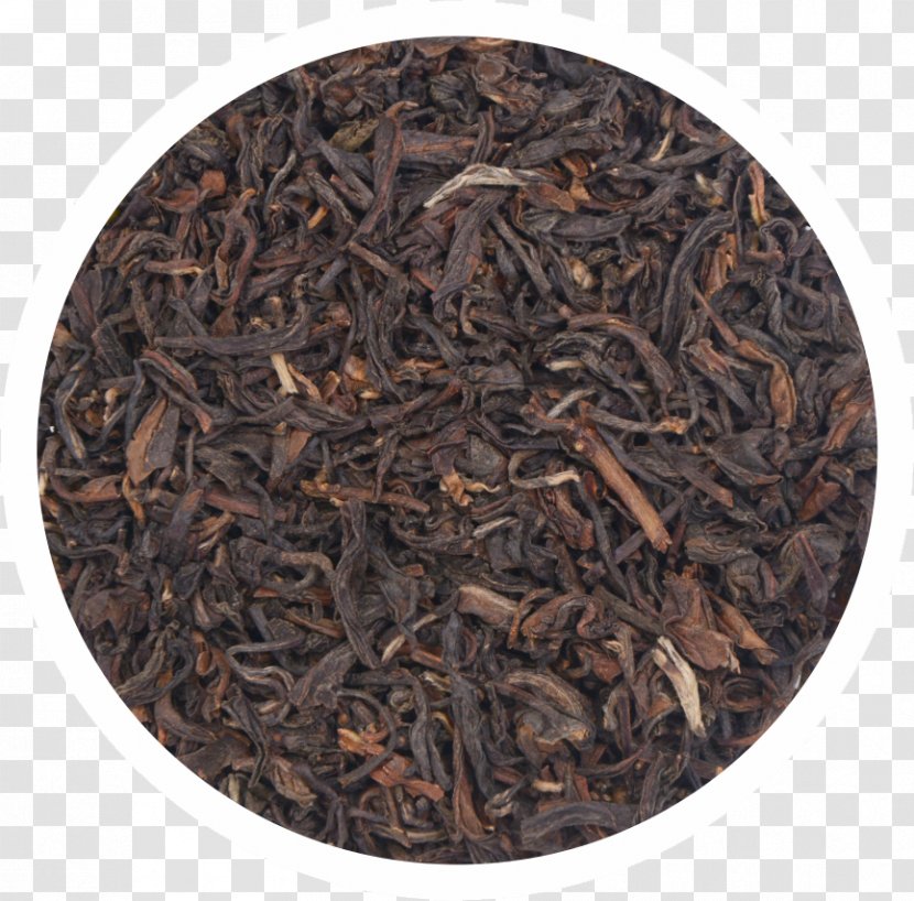 Assam Tea Dianhong Nilgiri Golden Monkey - Malt Transparent PNG