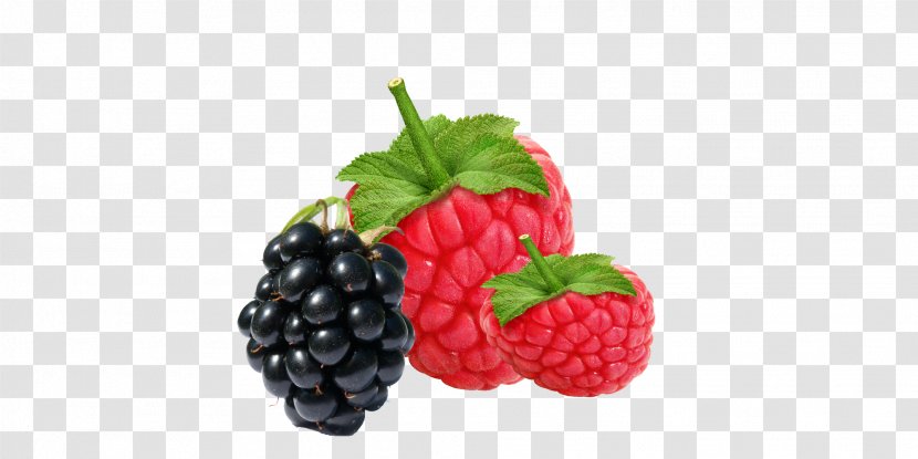 Amora Raspberry Health - Blueberries Transparent PNG