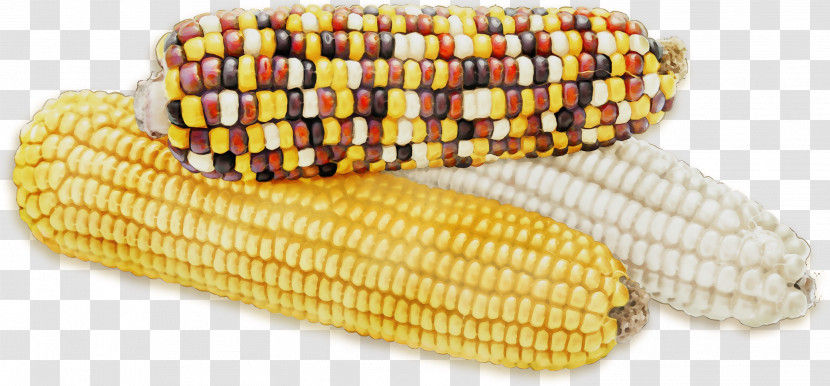 Corn On The Cob Sweet Corn Vegetarian Cuisine Corn Kernel Commodity Transparent PNG