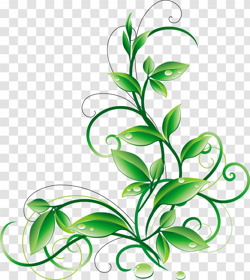 Leaf Flower Clip Art - Green - Leaves Transparent PNG