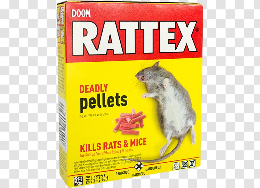 Insecticide Control Of Rats And Mice Rodenticide Grovida - Aerosol Spray - Rat Transparent PNG