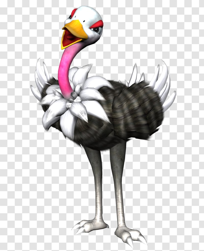 Common Ostrich Cartoon - Chicken Transparent PNG