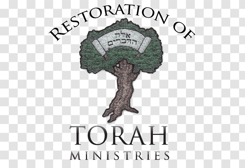 Weekly Torah Portion Devarim Ki Tissa Re'eh - Bible Puzzles About Abraham Transparent PNG