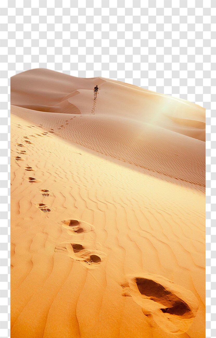 Liwa Oasis Great Sand Sea Footprint Desert - Material - Footprints Transparent PNG