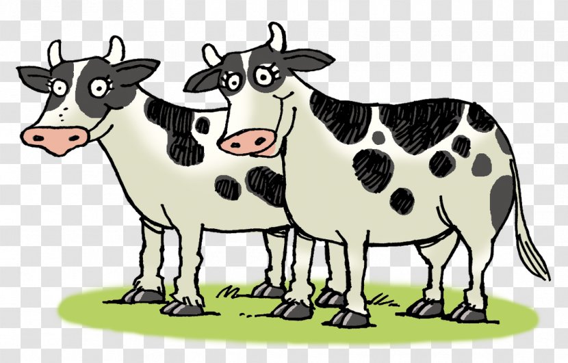 Dairy Cattle Ox You Have Two Cows Clip Art - Sheep Transparent PNG