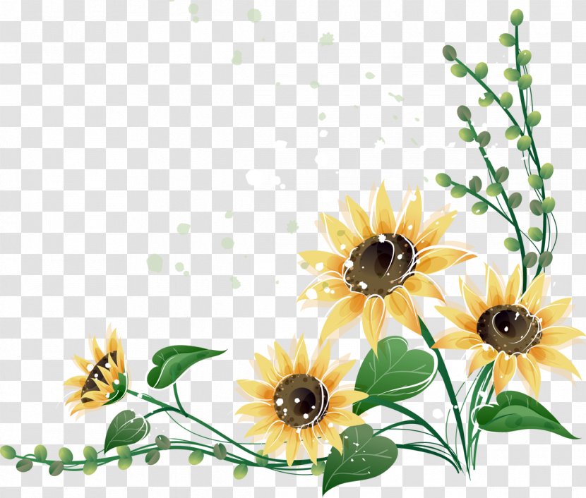 Common Sunflower Menu - Flowering Plant Transparent PNG