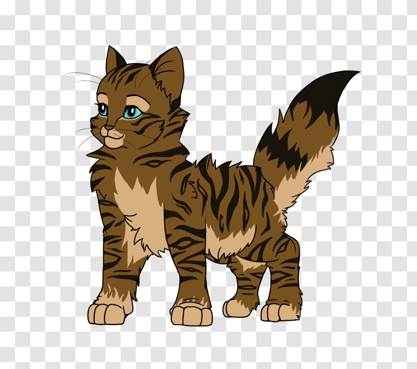 Whiskers Kitten Wildcat Tabby Cat Transparent PNG