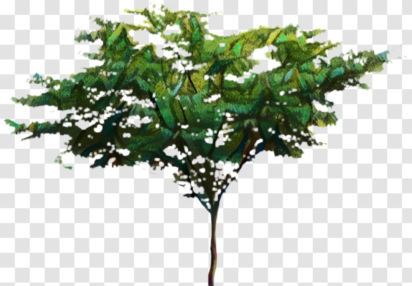 Tree Branch Silhouette - Mock Orange - Plant Stem Transparent PNG