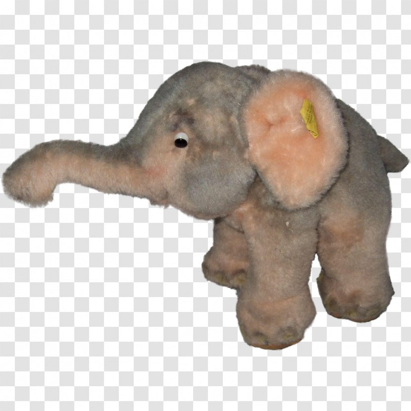 Indian Elephant African Curtiss C-46 Commando Stuffed Animals & Cuddly Toys - Organism - India Transparent PNG