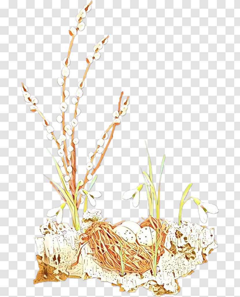 Plant Stem Grasses Grain Plants - Elymus Repens - Botany Transparent PNG