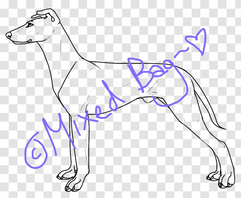Dog Breed Line Art Drawing /m/02csf - Mexican Skull Transparent PNG