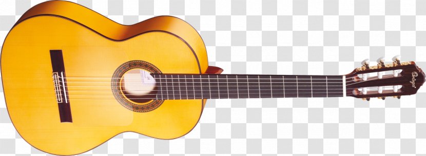 Acoustic Guitar Clip Art - Flower Transparent PNG