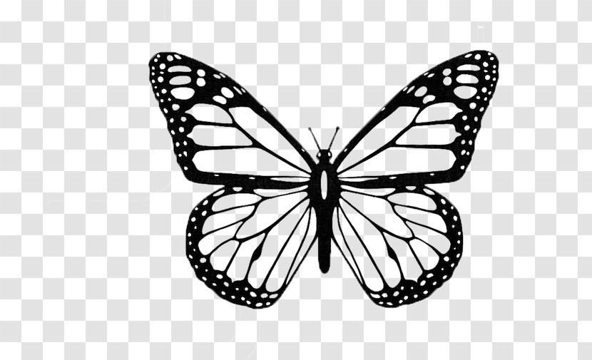 Monarch Butterfly Black And White Insect Clip Art - Coloring Book - Aestheticism Transparent PNG