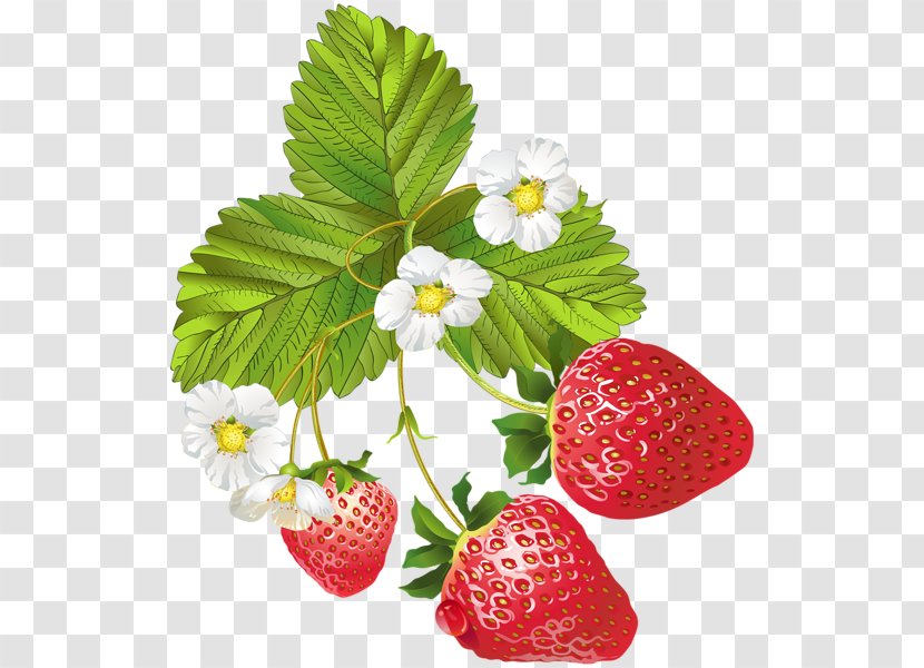 Strawberry Ice Cream Fruit Clip Art - Blooming Transparent PNG