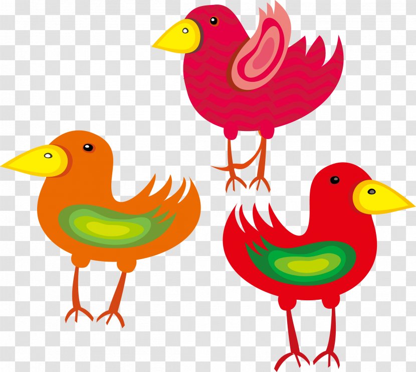 Bird Chicken Clip Art - Beak - Vector Color Chick Animal Material Transparent PNG