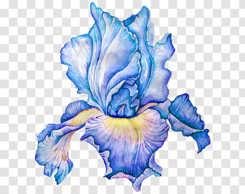 Flower Watercolor Painting Clip Art Transparent PNG