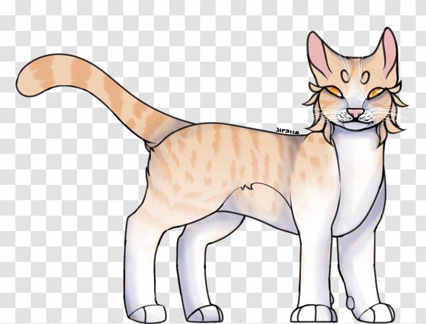 Whiskers Tabby Cat Domestic Short-haired Kitten Wildcat Transparent PNG