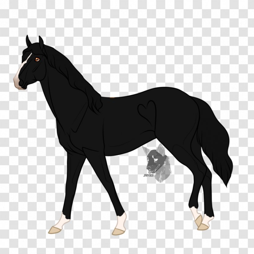 Mustang Foal Stallion Mare Colt - Vertebrate Transparent PNG