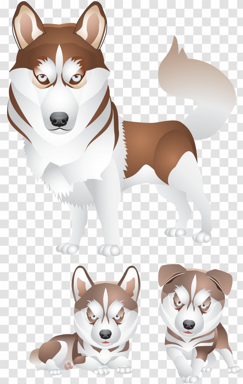 Siberian Husky Puppy - Dog Breed Group - Clipart Transparent PNG