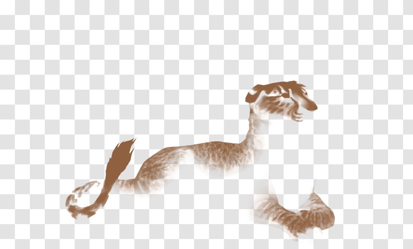 Dog Cat Camel Fur Canidae - Paw - Princess Rosette Transparent PNG