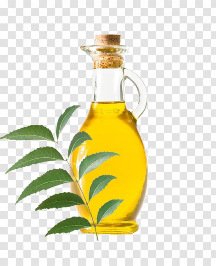 Neem Tree Oil India Plant - Mustard - Tamarind Transparent PNG