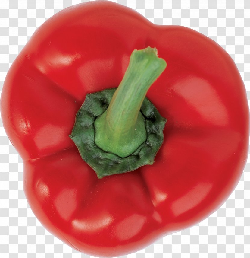 Bell Pepper Cayenne Cocido Chili Vegetable - Peperoncini - Red Transparent PNG