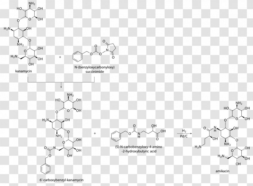 Amikacin Aminoglycoside Kanamycin A Antibiotics Capreomycin - Watercolor - Silhouette Transparent PNG