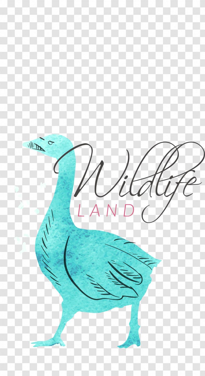 Watercolor Painting Logo Illustration - Vector Ducks Transparent PNG