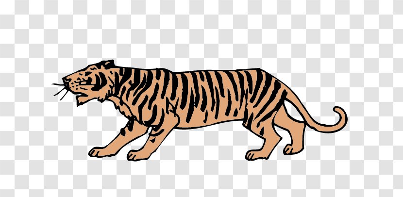 Tiger Lion Transparent PNG