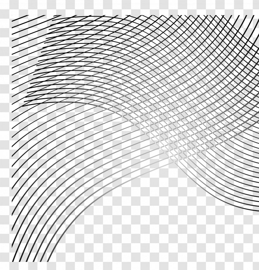 Curve Line Euclidean Vector - Text - Black Lines Transparent PNG