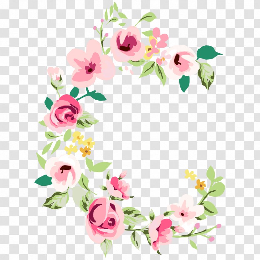 Vector Graphics Illustration Image Design Flower - Arranging - English Rose Transparent PNG