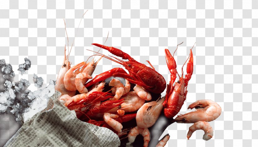Rud. Kanzow GmbH & Co. KG Seafood Crayfish As Food - Decapoda - Shrimps Transparent PNG