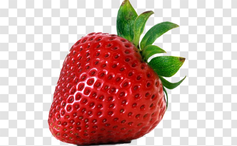 Florida Strawberry Festival Diseases Shortcake Transparent PNG