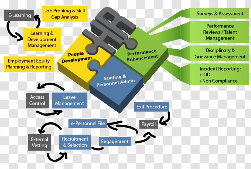 Human Resource Management Business Workforce Transparent PNG